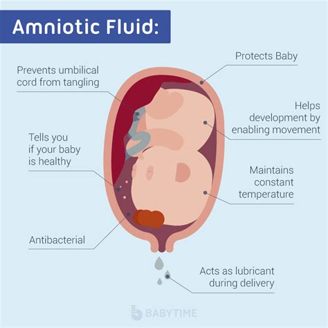 pregnant leaking fluid|Amniotic Fluid: What is It and Signs of Leaking